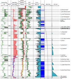 TGS Petrophysics Preview 1