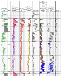 TGS Petrophysics Preview 2